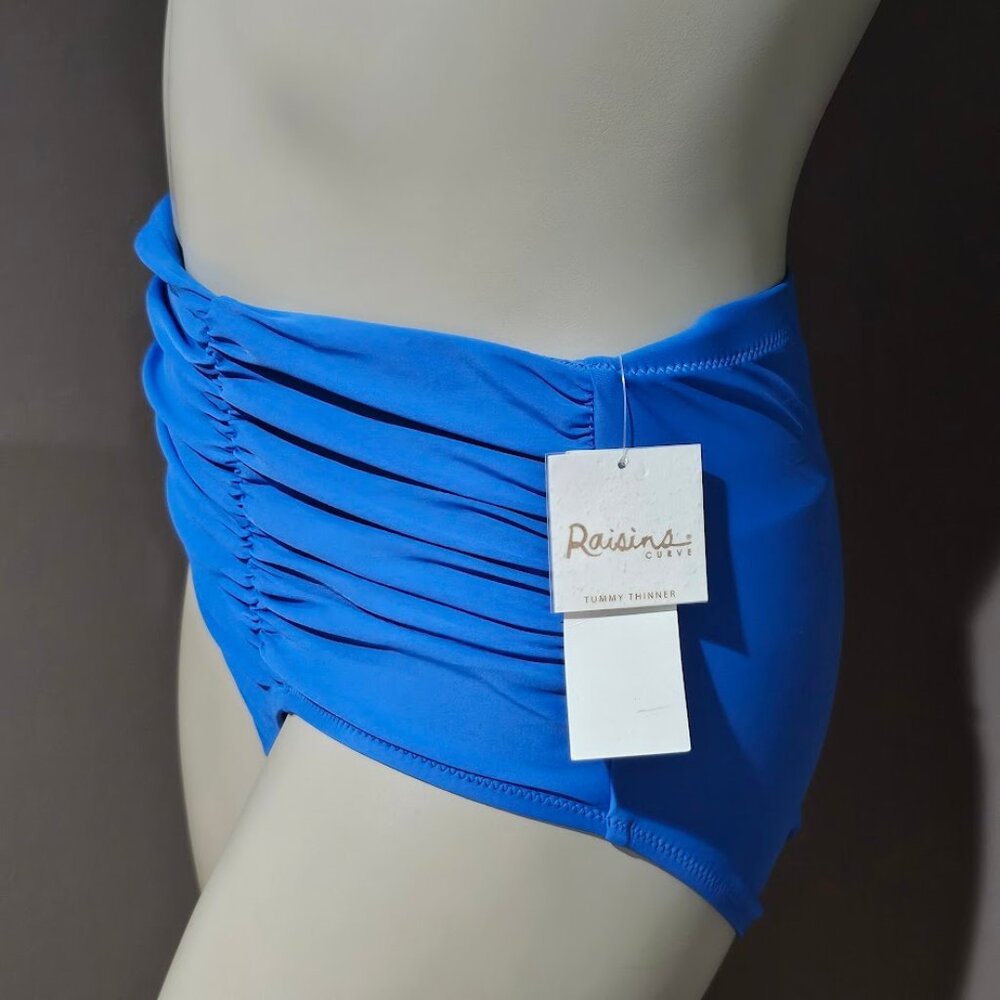 Raisins Curve Calina Solids Costa Bikini Bottom Blue - Picture 3 of 9